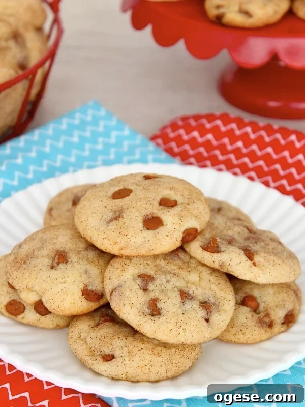 Cinnamon Chip Snickerdoodle Cookies with Melting Chocolate Chips 2 Cinnamon Chip Snickerdoodles