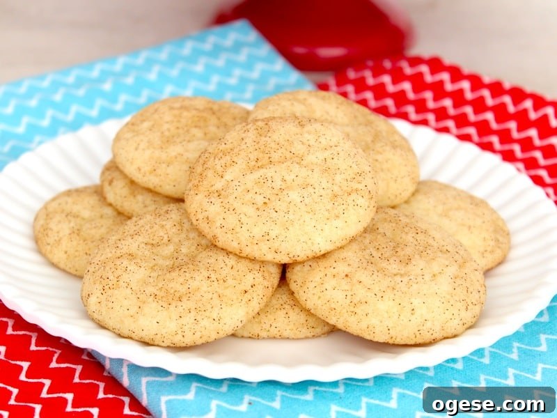 Cinnamon Chip Snickerdoodle Cookies with Melting Chocolate Chips 4 Cinnamon Chip Snickerdoodles