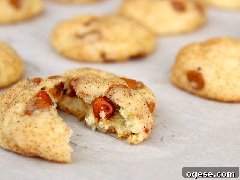 Cinnamon Chip Snickerdoodle Cookies with Melting Chocolate Chips 5 Cinnamon Chip Snickerdoodles