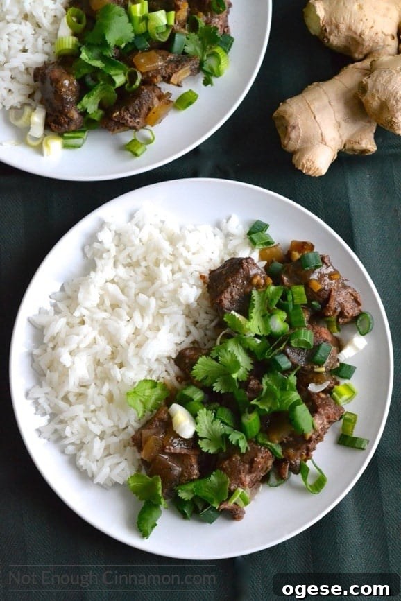 Slow Cooker Orange Ginger Beef Stew with Tender Chunks 5 Comforting slow cooker beef stew with hints of orange and ginger. A must try! | Find the recipe on NotEnoughCinnamon.com #glutenfree #dinner
