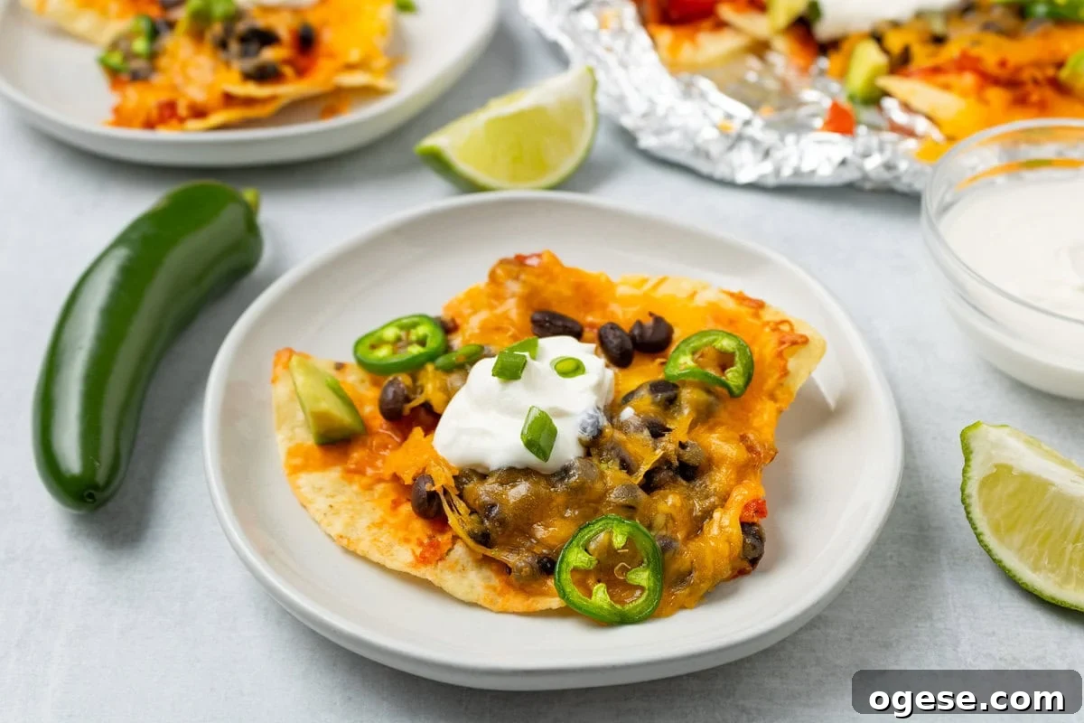 Crispy Air Fryer Nachos with Cheese & Quick Toppings 9 A serving of air fryer nachos on a plate.