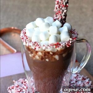 hot chocolate with marshmallows and peppermint