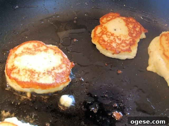 Ricotta fritters turned