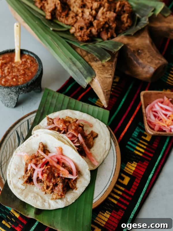 Two Cochinita Pibil Tacos topped with pickled red onions and salsa