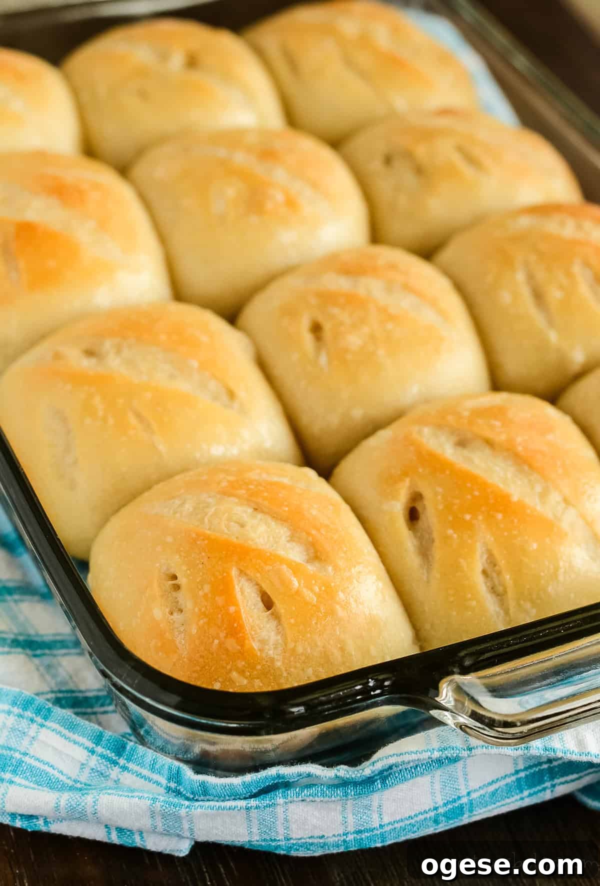pan of soft dinner rolls with sourdough starter
