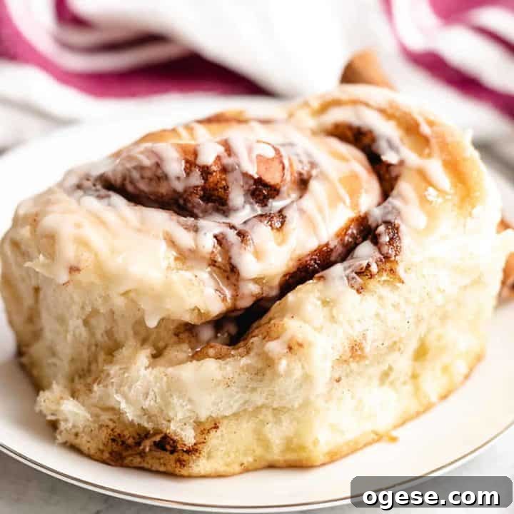 A close-up photo of a sourdough cinnamon roll.