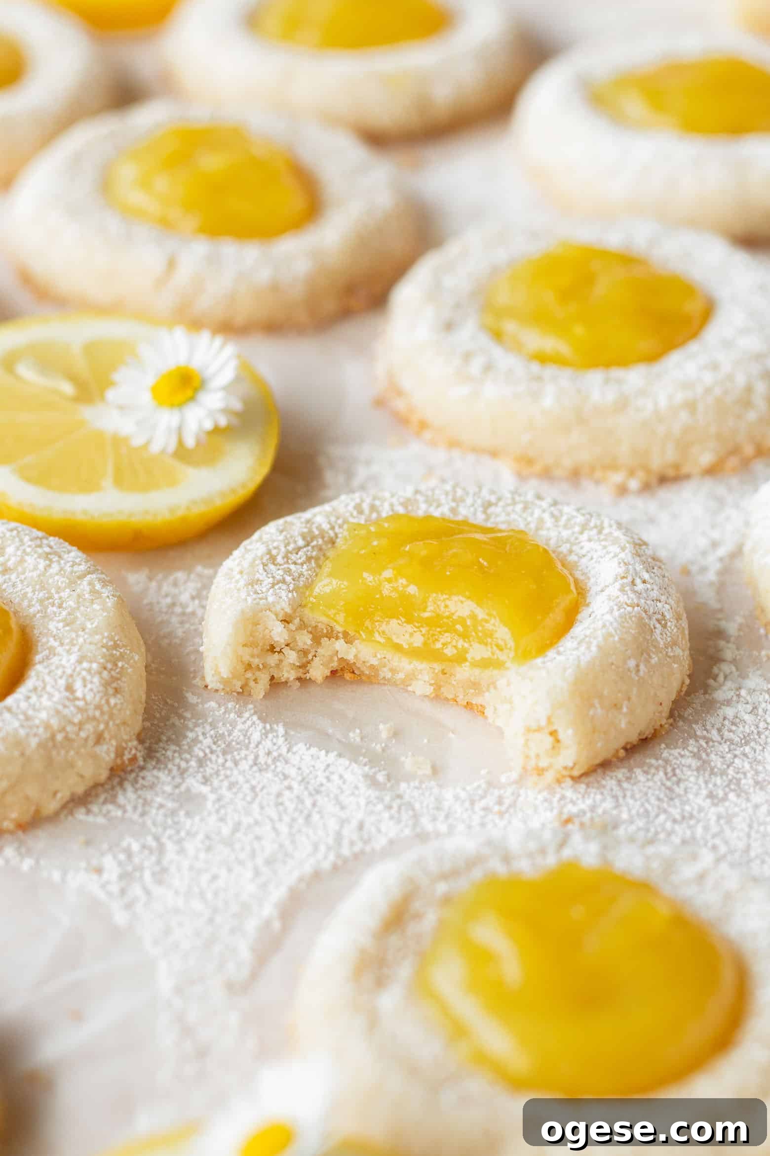 A bitten lemon thumbprint cookie with many cookies scattered around.
