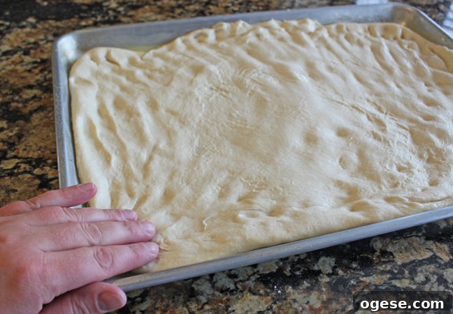 Parmesan Garlic Bread Twists Recipe: Crispy Pull-Apart Bread 8 Dough resting