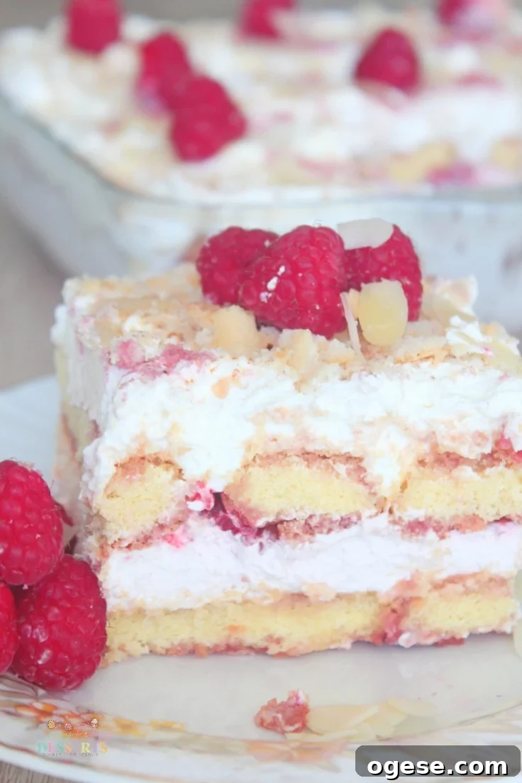 Raspberry Tiramisu Recipe: Creamy Layered Dessert with Fresh Berries 2 Raspberry tiramisu recipe