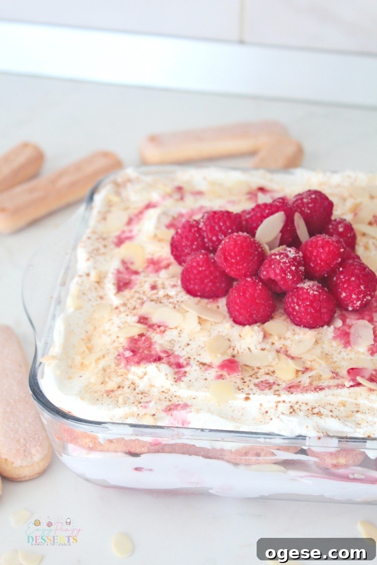 Raspberry Tiramisu Recipe: Creamy Layered Dessert with Fresh Berries 3 No bake raspberry tiramisu