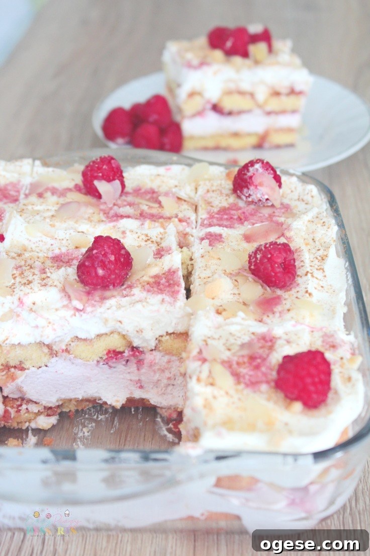 Raspberry Tiramisu Recipe: Creamy Layered Dessert with Fresh Berries 4 Easy raspberry tiramisu