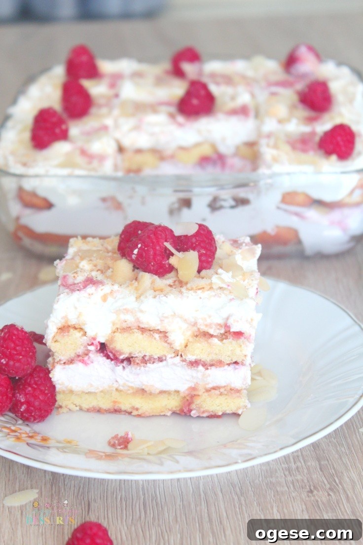 Raspberry Tiramisu Recipe: Creamy Layered Dessert with Fresh Berries 5 Tiramisu with raspberries