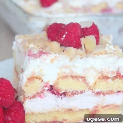 Raspberry tiramisu recipe