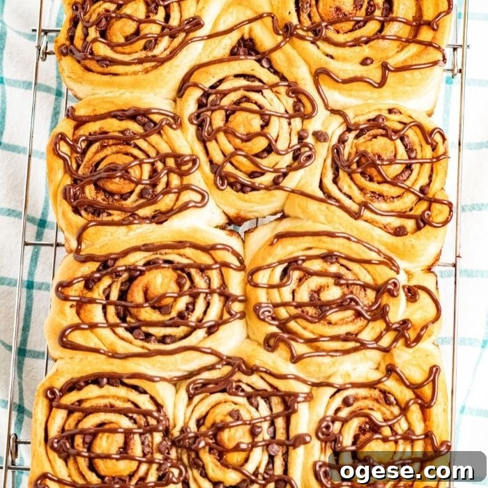 Chocolate Chip Cinnamon Rolls with Rich Chocolate Swirl 6 chocolate chip cinnamon rolls in a baking pan