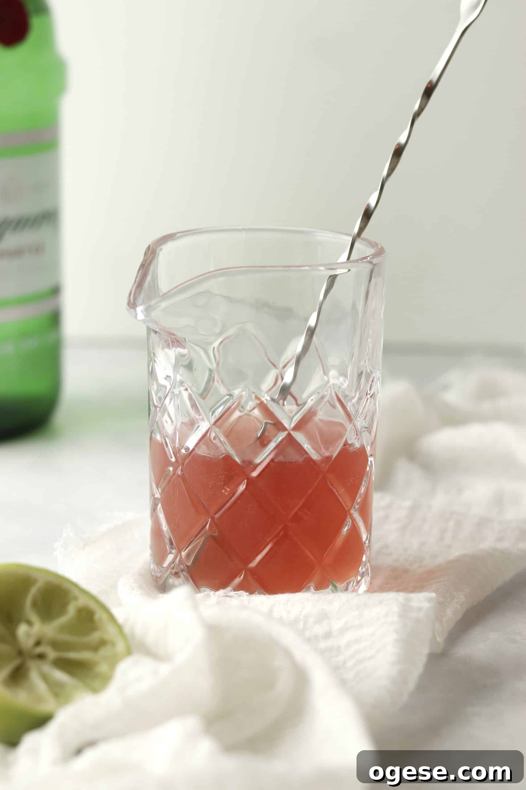 cranberry gin and tonic in cocktail pitcher