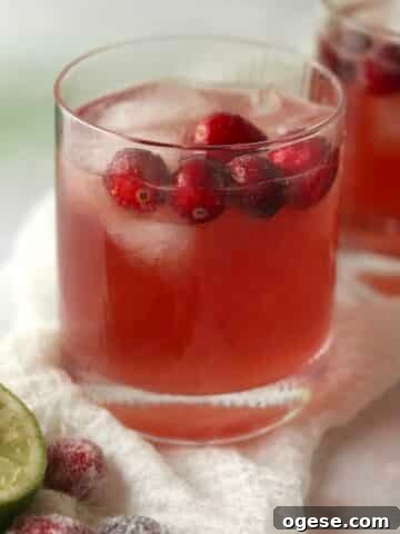 christmas gin cocktail with cranberries