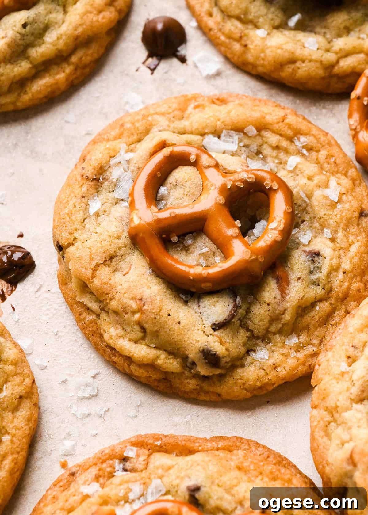 Salted Pretzel Chocolate Chip Cookies: Sweet Meets Crunch 26 a chocolate chip pretzel cookie topped with a mini pretzel and a sprinkle of flaky sea salt. surrounded by chocolate chips and pretzels and other cookies