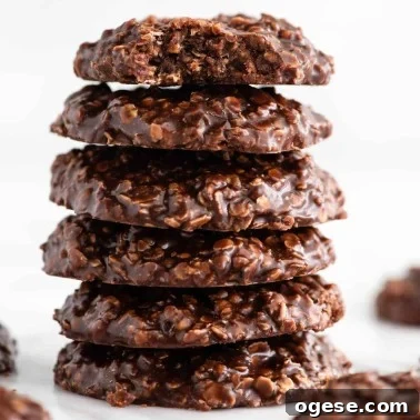 Salted Pretzel Chocolate Chip Cookies: Sweet Meets Crunch 32 Best No Bake Cookies