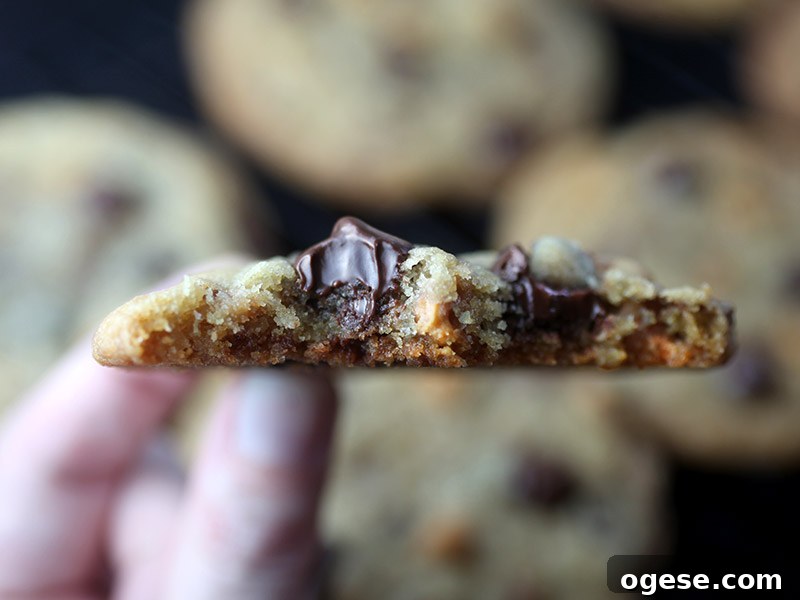 Butterscotch Toffee Chocolate Chip Cookies Recipe 4 Melty Chocolate Chips