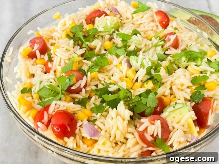 Image for Mexican Orzo Pasta Salad