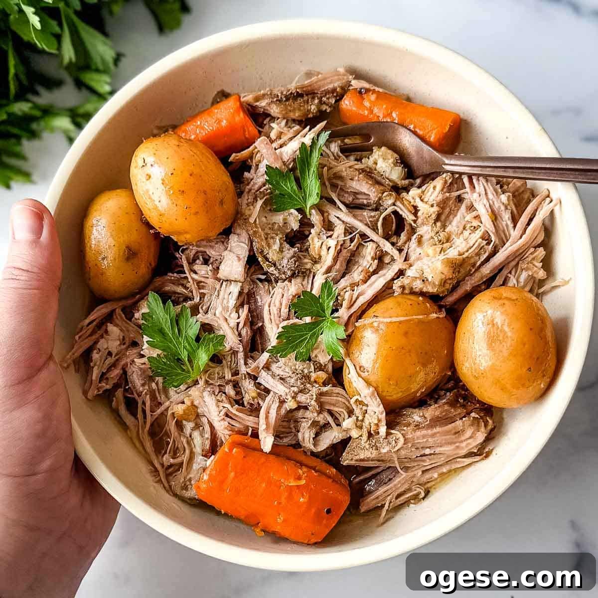 Slow Cooker Italian Pork Roast with Garlic and Herbs 22 A hand holding a bowl of pulled pork with potatoes and carrots.
