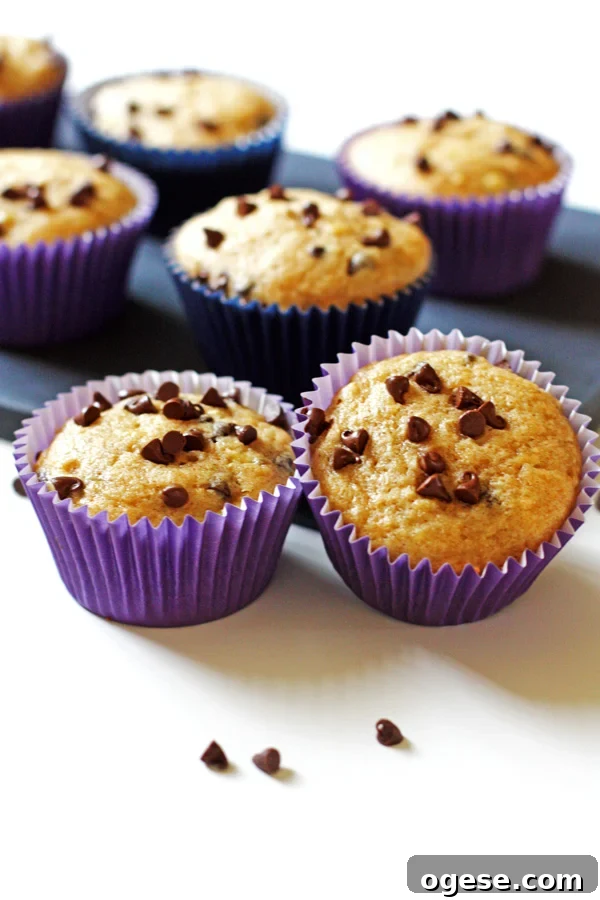 Banana Chocolate Chip Muffins