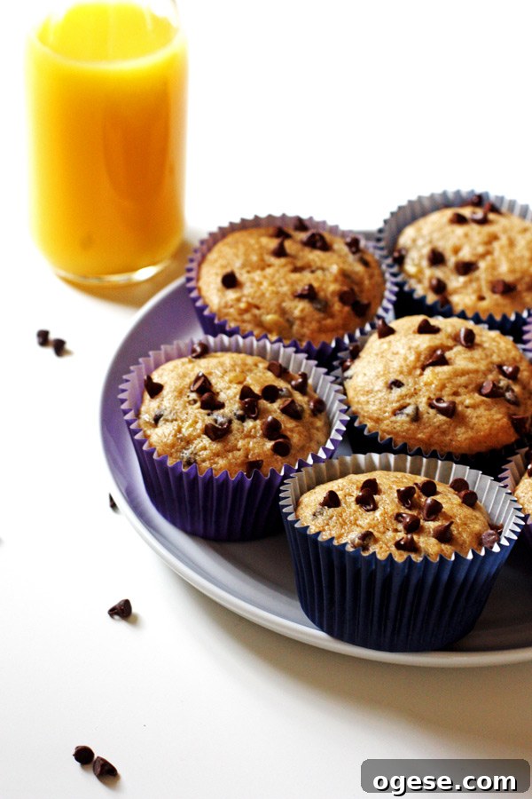 Banana Chocolate Chip Muffins