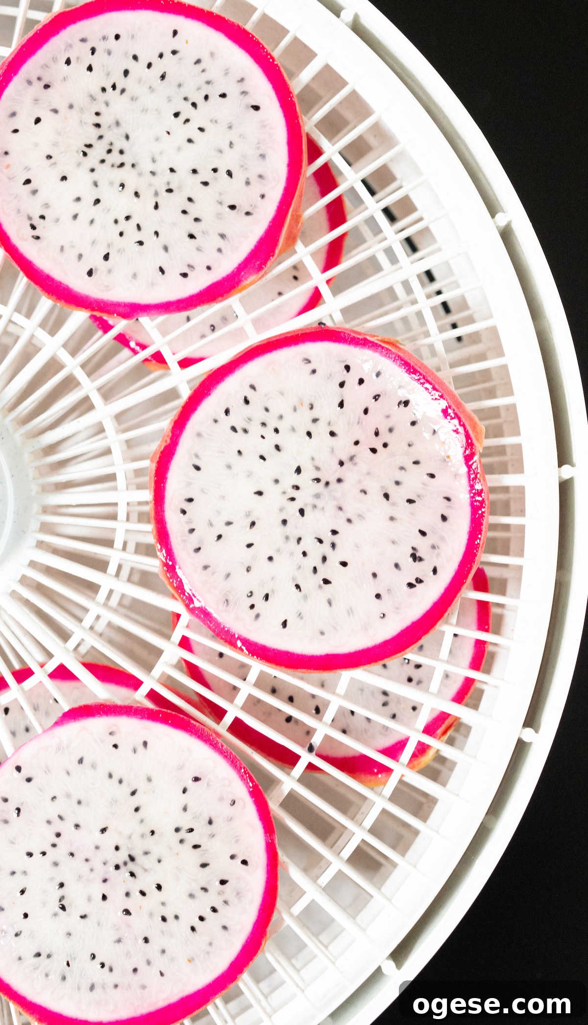 Dehydrated Dragon Fruit Chips: DIY Recipe and Storage Tips 6 Dragonfruit slices with pink peel and white flesh laid out on dehydrator trays.