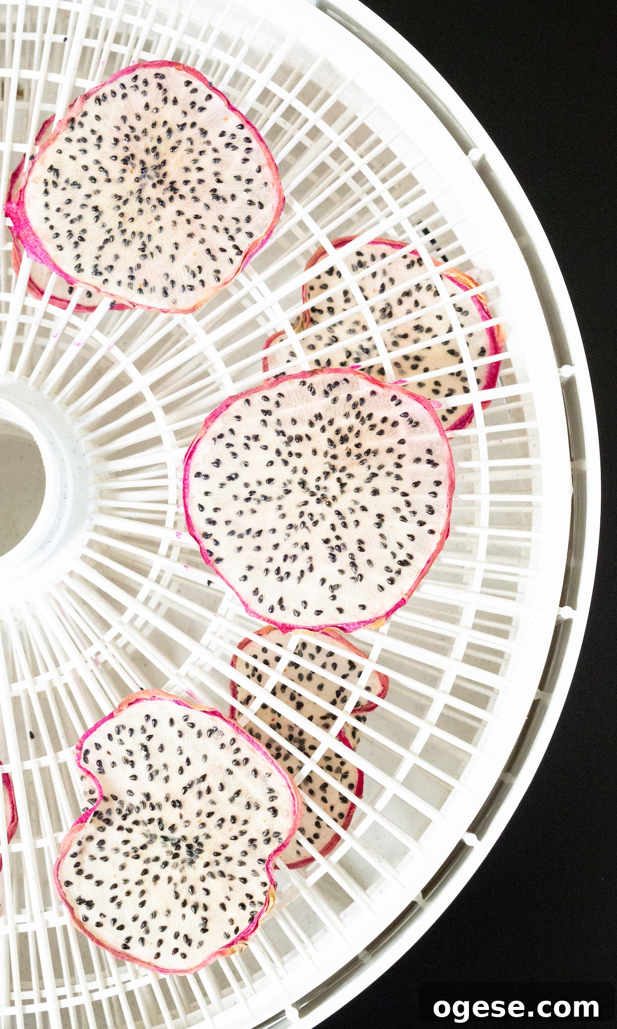 Dehydrated Dragon Fruit Chips: DIY Recipe and Storage Tips 7 Slices of dragon fruit on dehydrator trays after they have been dehydrated.