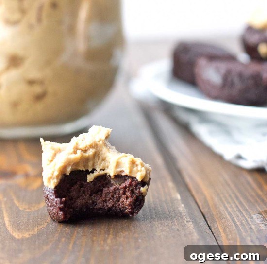 Flourless Fudge Brownie Bites with Greek Yogurt Frosting 4 Peanut Butter Greek Yogurt Frosting dolloped on brownie bites