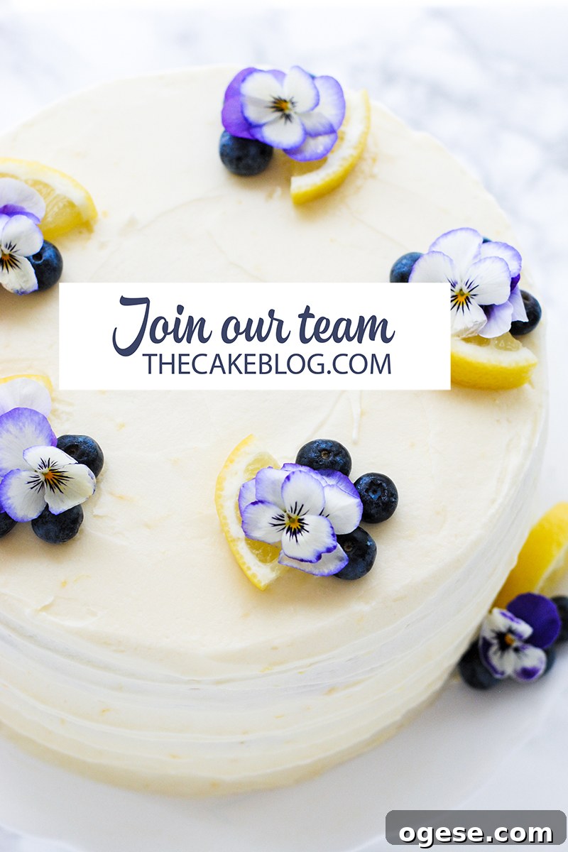 Explore Job Openings and Grow Your Career 2 img 29542 1