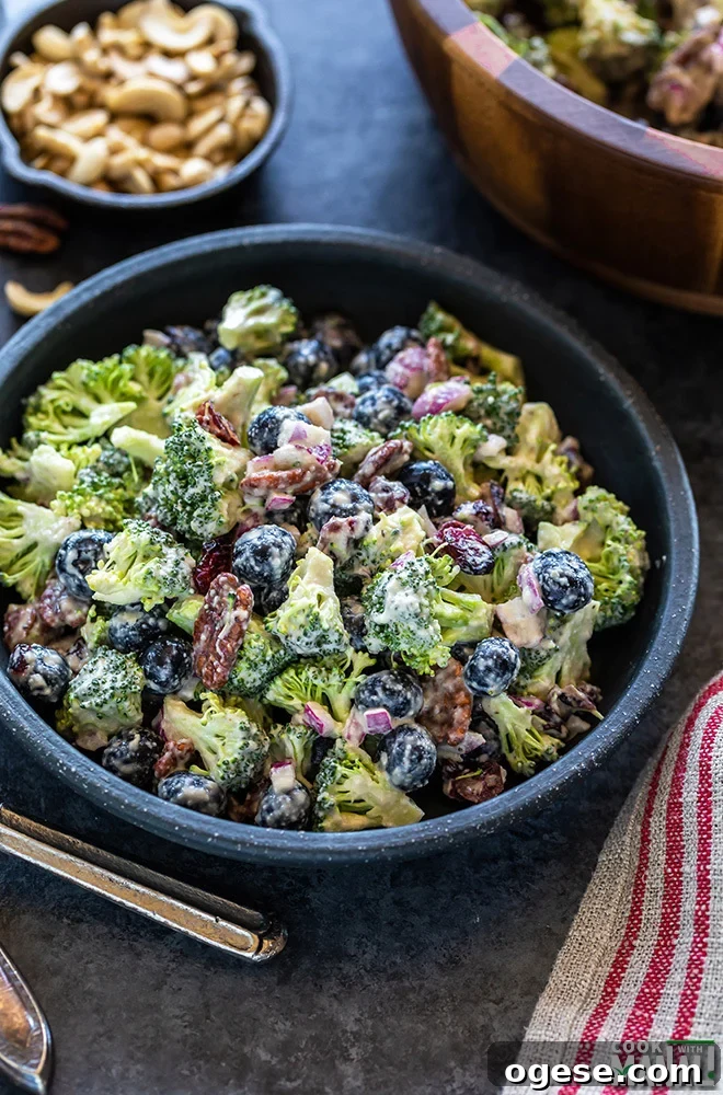Vegan Broccoli & Blueberry Salad with Lemon Vinaigrette 2 bowl of vegan broccoli salad with blueberries and a fork on the side