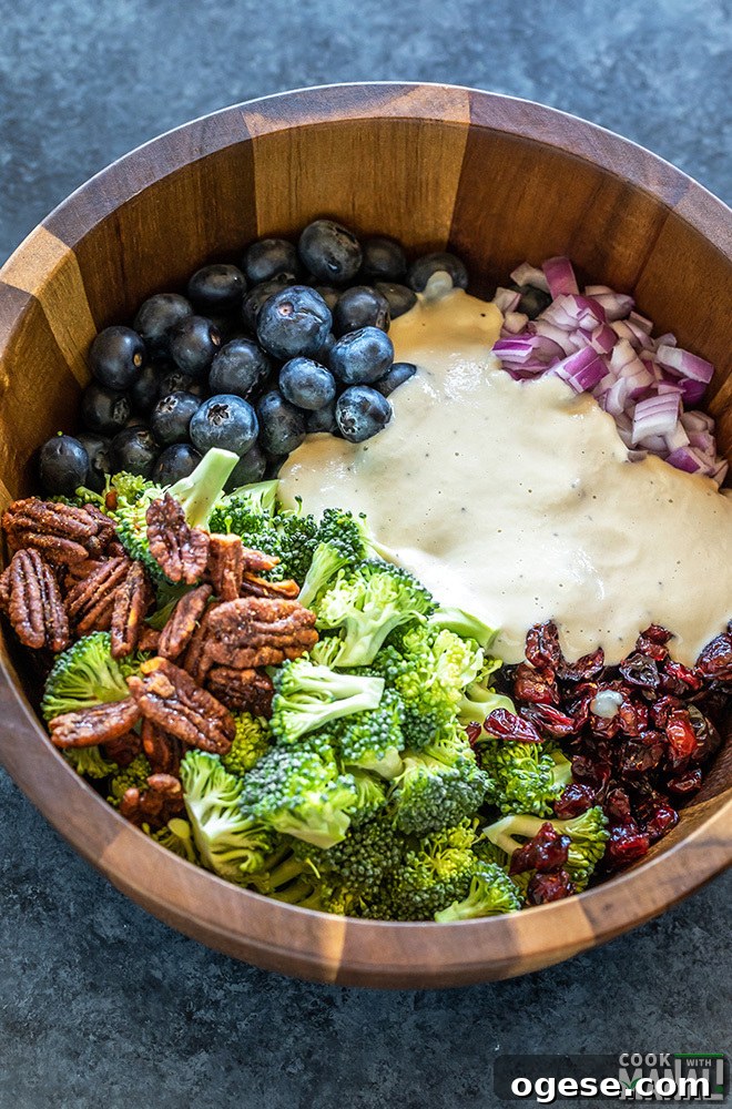 Vegan Broccoli & Blueberry Salad with Lemon Vinaigrette 3 salad bowl with broccoli, blueberries, cranberries, onion, pecans and a cashew dressing