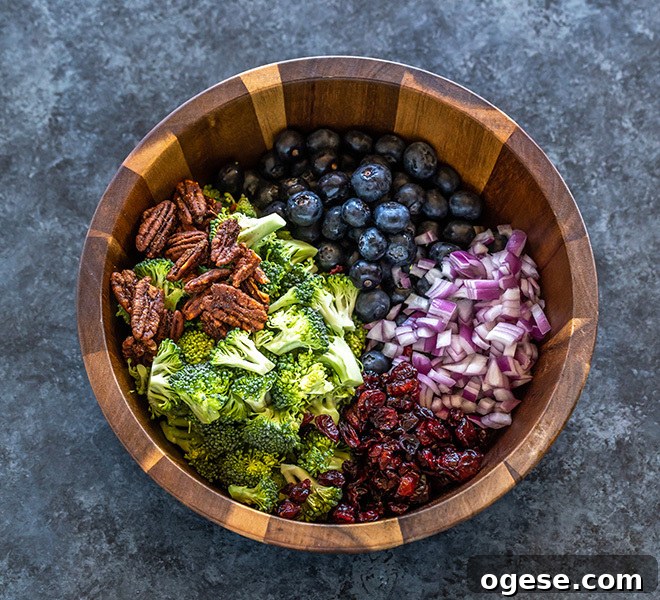 Vegan Broccoli & Blueberry Salad with Lemon Vinaigrette 4 a salad bowl with chopped broccoli, onion, blueberries, pecans and dried cranberries