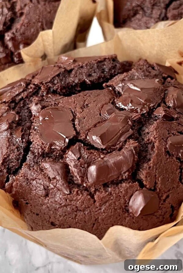 Moist chocolate chunk muffin.